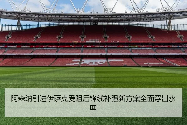 阿森纳引进伊萨克受阻后锋线补强新方案全面浮出水面 - ANBOSPORT